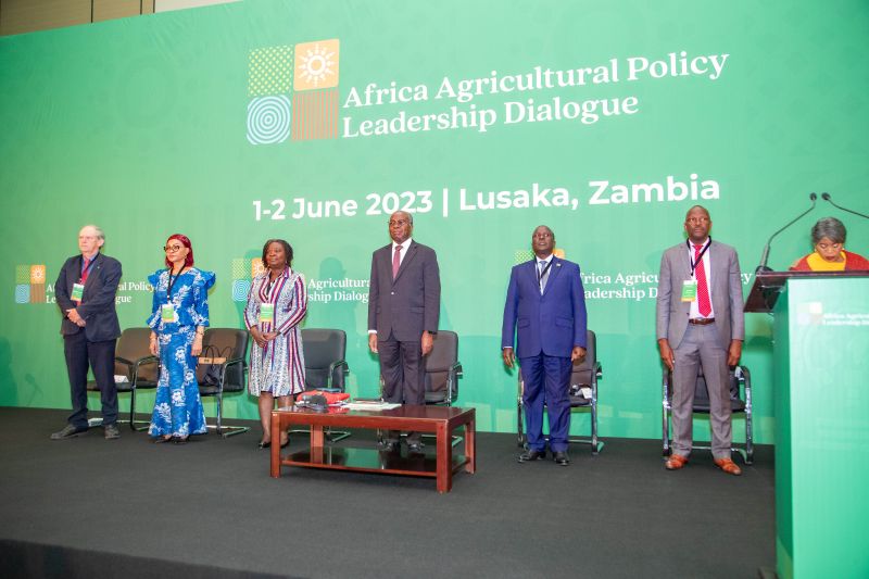 Africa Agricultural Policy Leadership Dialogue, Zambia